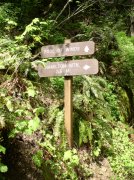 4.30.06 Hamilton Mountain 026 